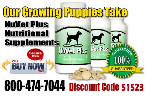 Nuvet Plus dog vitamins for blue pitbulls